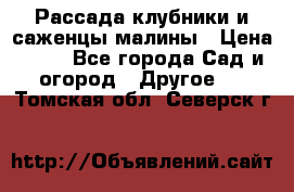 Рассада клубники и саженцы малины › Цена ­ 10 - Все города Сад и огород » Другое   . Томская обл.,Северск г.